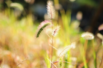 When the nature calls!!