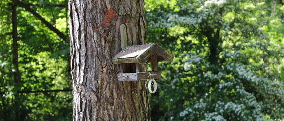 a birdhouse on the tree