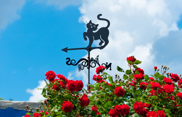 Weather vane in the form of a cat and a blooming rose bush. 