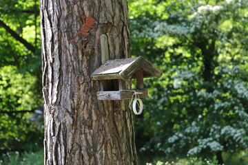 a birdhouse on the tree