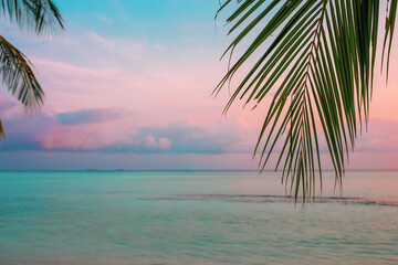 Naklejka premium a palm tree branch on the background of a picturesque sunset in the Indian Ocean on the island of Mathiveri Maldives