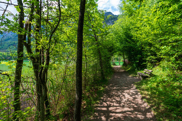Wanderweg am Reintaler See bei Kramsach in Tirol Österreich