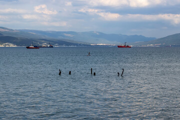 Obraz premium Pillars sticking out of the water into the sea. Ships and mountains in the background. The man on the boat in the center of the frame.