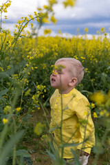 Boy with blond hair and in a yellow shirt stands in a field of yellow flowers