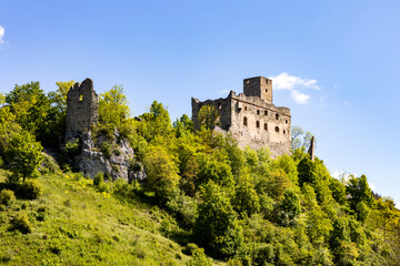 Fototapeta na wymiar Burg Niederhaus im Sommer