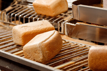 Square fresh bread move on conveyor automatic production line bakery after stone oven