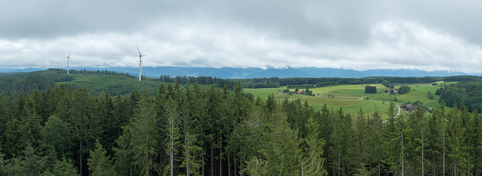 Schwarzwald bei Biederbach