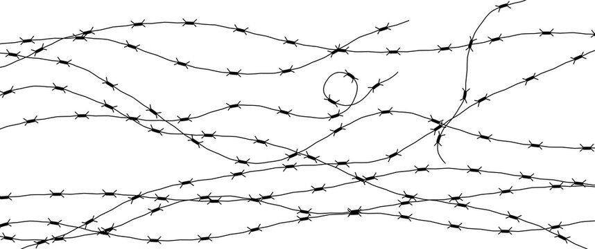 Barbed Wire Isolated On White. Wired Border Of Prison Or War Zone.