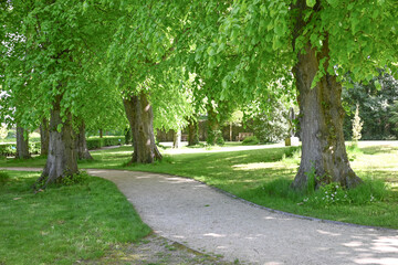 Fototapeta na wymiar Alnwick Gardens , Northumberland