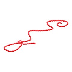 Red lasso icon. Isometric of Red lasso vector icon for web design isolated on white background