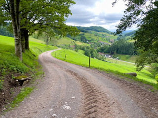 Schwarzwald bei Biederbach