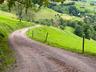 Schwarzwald bei Biederbach