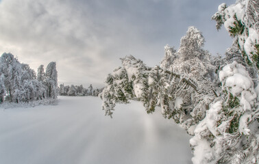 Winter scene at the Bog, Cape Breton Highlands National Park, Nova Scotia.