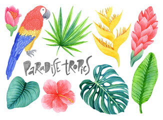 Naklejka premium Bright watercolor macaw parrot, flowers and leaves of exotic plants.