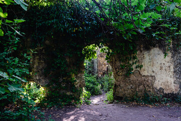 Casa abandonada en ruinas, camuflada en el bosque
