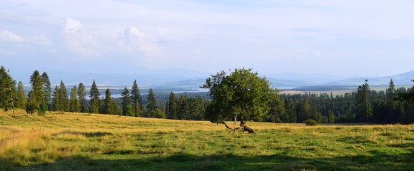 Orava reservoir (Oravska Priehrada)