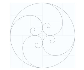 Fibonacci spiral math. vector illustration
