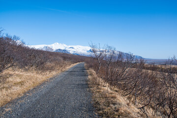 Hiking path in Skaftafell in Vatnajokull national park in Iceland