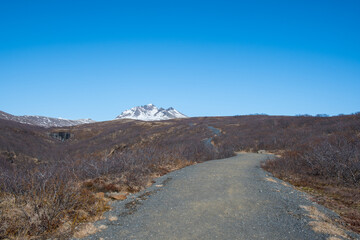 Hiking path in Skaftafell in Vatnajokull national park in Iceland