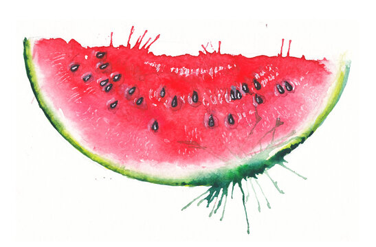 hand-drawn illustration of watercolor watermelon slice on white background