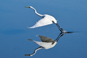 Flight
