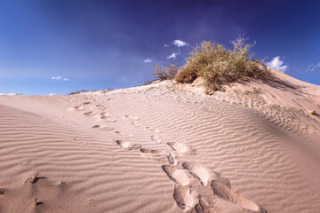 Sand dunes in National Park of Nabq, Sharm El Sheikh, Egypt.