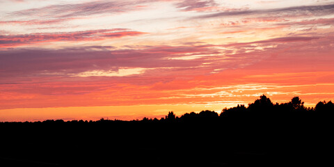 Evening Sky,Pink sky background with colorful sunlight with orange, yellow and dramatic nature background.