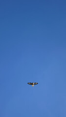 Freedom of flying