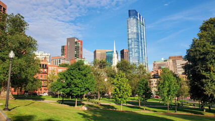 Skyscrapers skyline with church tower, park and trees