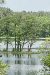 Krajobraz. Jezioro Kośno. Polska - Mazury - Warmia.