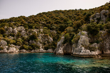 Plakat beautiful rocky island with green trees and bushes growing on it at Mediterranean sea.
