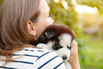 Naklejka na ściany i meble Beautiful woman in a striped t-shirt tenderly hugs a small husky puppy in the park outdoors