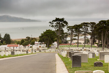 A Foggy Day in the Presidio, San Francisco National Cemetery, California