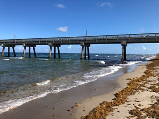 Fototapeta premium waves on palm beach