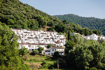 Fototapeta na wymiar Benamahoma, uno de los pueblos blancos de la provincia de Cádiz, Andalucía, España.