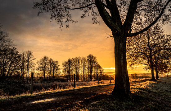 Herbststimmung am fr&uuml;hen Morgen bei Sonnenaufgang in den Weideswiesen in Erlensee