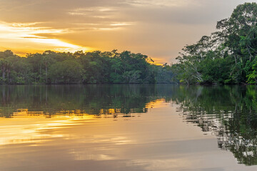 Amazon Rainforest lagoon sunset, generic landscape found in Brazil, Bolivia, Colombia, Ecuador,...