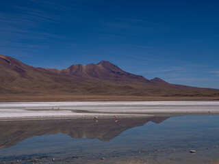 Landscape of mountains and lake with reflection and flamingos in natural habitat in atacama desert, uyuni salt flats, chile	
