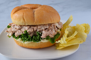 tuna fish salad on a bulkie rollwith chips