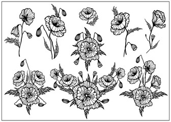 set of compositions of poppy 