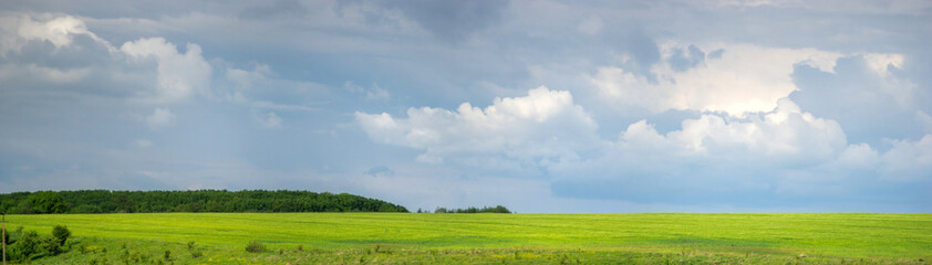 Wheat field against the background of the sky and clouds