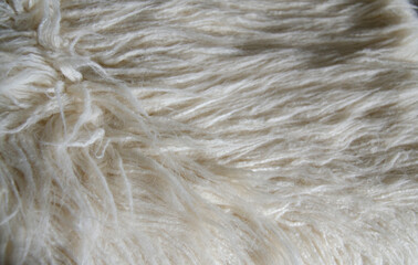 White fur background texture overhead shot