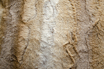 Ombre Fur Textured Background
