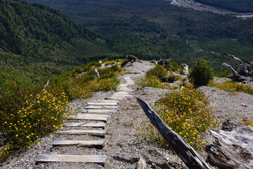 Sceneries at the El Chaitén volcano, Pumalin National Park, Patagonia, Chaitén, Chile