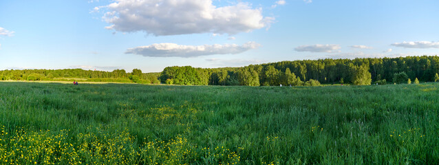 Fototapeta premium Russia. Moscow. Panorama of Bitsevsky forest from the top of Lysaya Gora