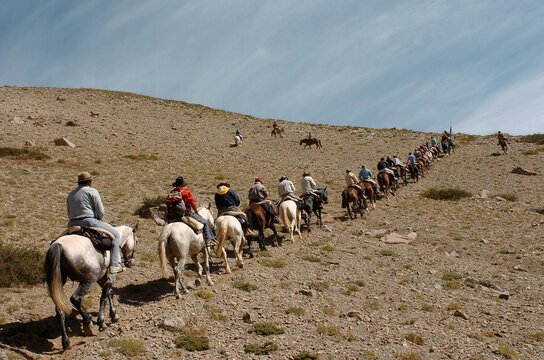 All Together Summer Cavalcade at Valle de Las Le&ntilde;as, Cordillera de los Andes, Malarg&uuml;e, Cuyo, Mendoza, Argentina, South America