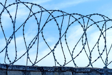 WIRE CONCERTINA FENCE ON BLUE SKY BACKGROUND. PRISON, WAR, MILITARY AREA, FRONTIER, CUSTOM OR CONCENTRATION CAMP. SECURITY AND PROTECTION CONCEPT.