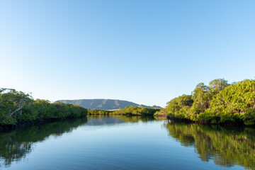 La mangrove à Pouembout
