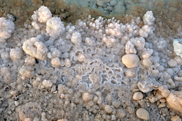 Shore of the Dead Sea
