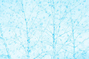 abstract light blue and white colors background for design